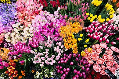 Bungie：《命运2：光陨之秋》剧情还需两个月才能完整