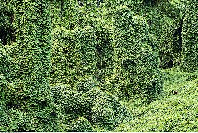 恐怖电影《月光光心慌慌》游戏开发中 虚幻5打造