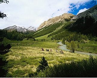 时隔3年 任天堂将再次参展独立游戏展BitSummit X-Roads