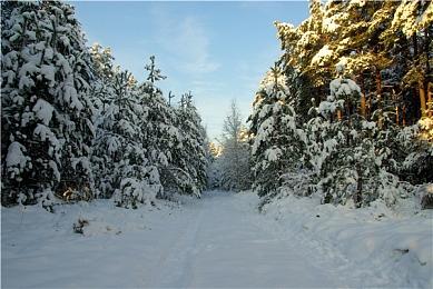 《Achilles: Survivor》正在根据试玩版反馈进行优化